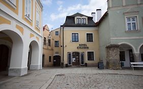 Hotel Celerin